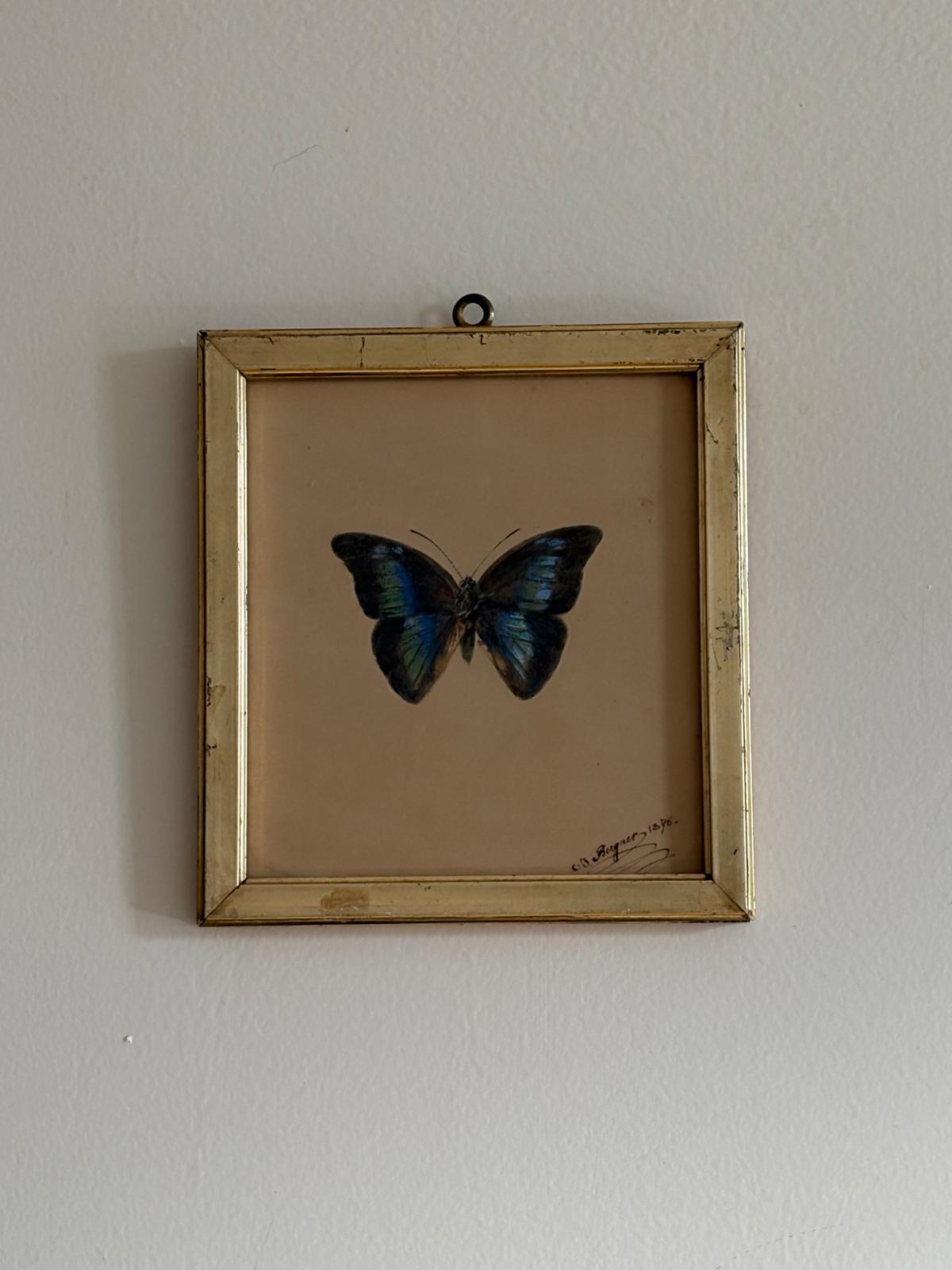 Jakob Christian Bergner - Pastel Butterfly